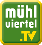 mtv_logo_ohne_schatten.gif
